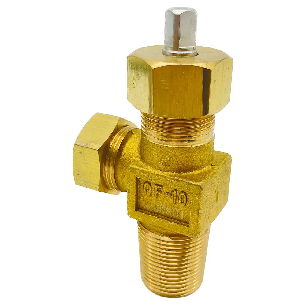 Chlorine Gas Cylinder Valve Qf-10 in Needle Type G3/4 Thread