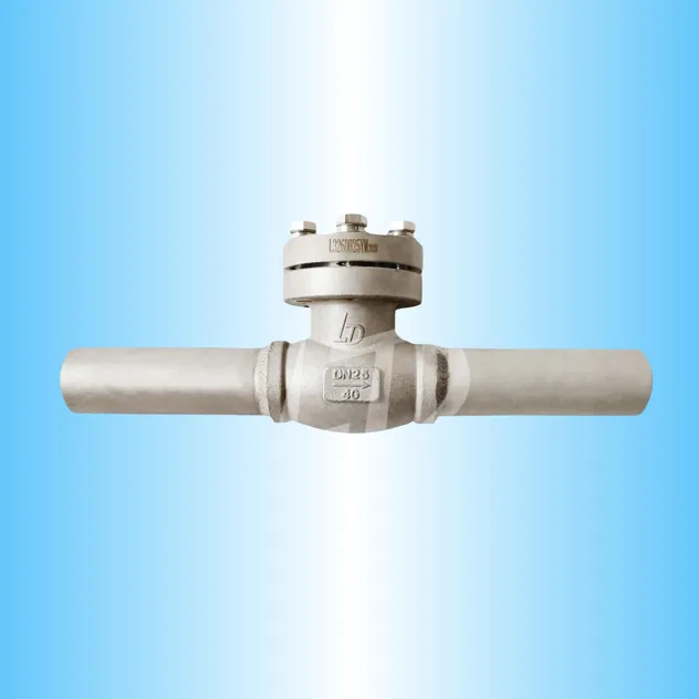 Cryogenic Valve 1