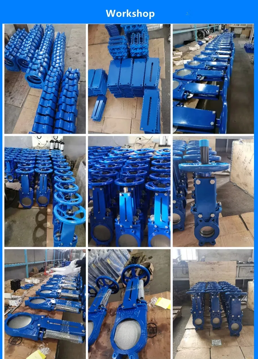 Cast Iron Valve Structure