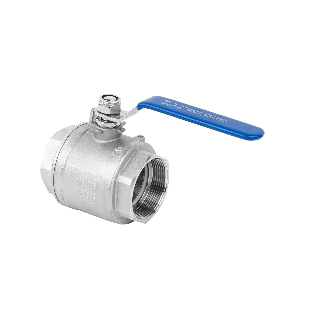 Sanitary Valve Detail