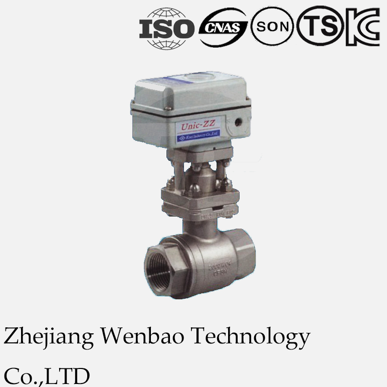 2PC Standard Stainless Steel Thread Type SS304 Motorized Split Body Two-Segment Ball Valves with Pneumatic Actuator