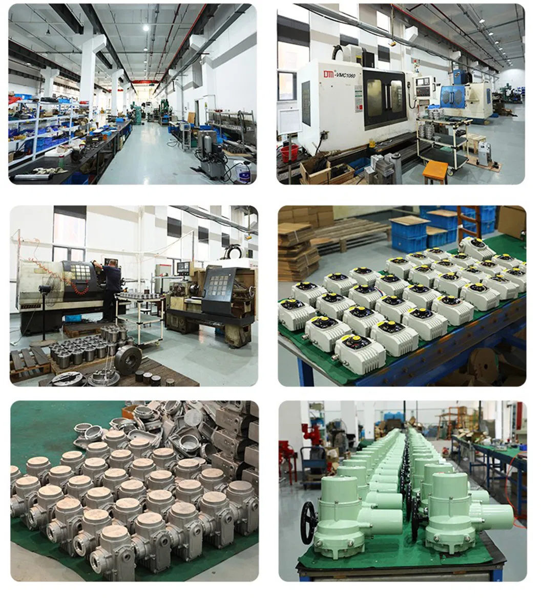 Full Product View