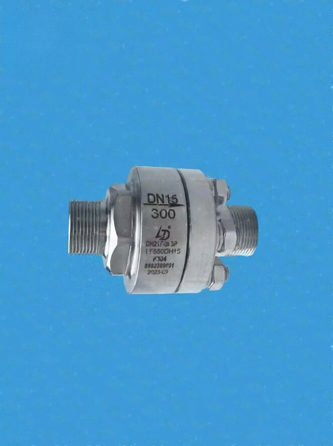 Cryogenic Check Valve for Cryogenic Storage Tank