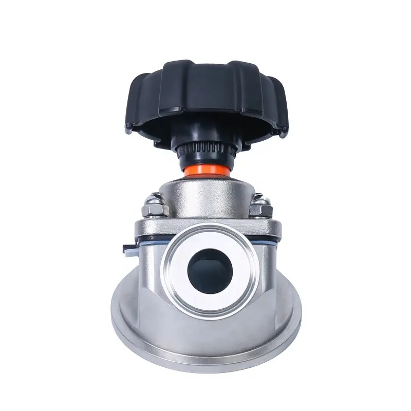 Durable 304 316 Stainless Steel Flush Tank Diaphragm Valve for Reliable Performance