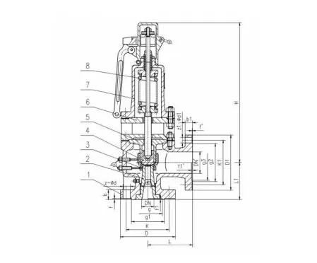 Spring Loaded Valve