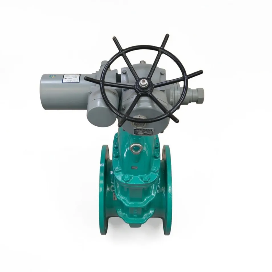 Resilient Seated Gate Valve