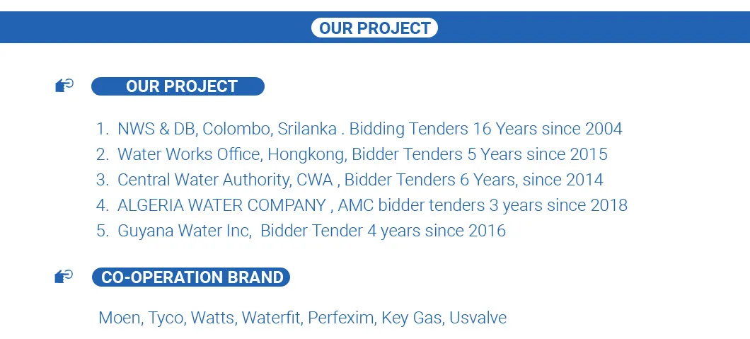 Valve Specification Sheet