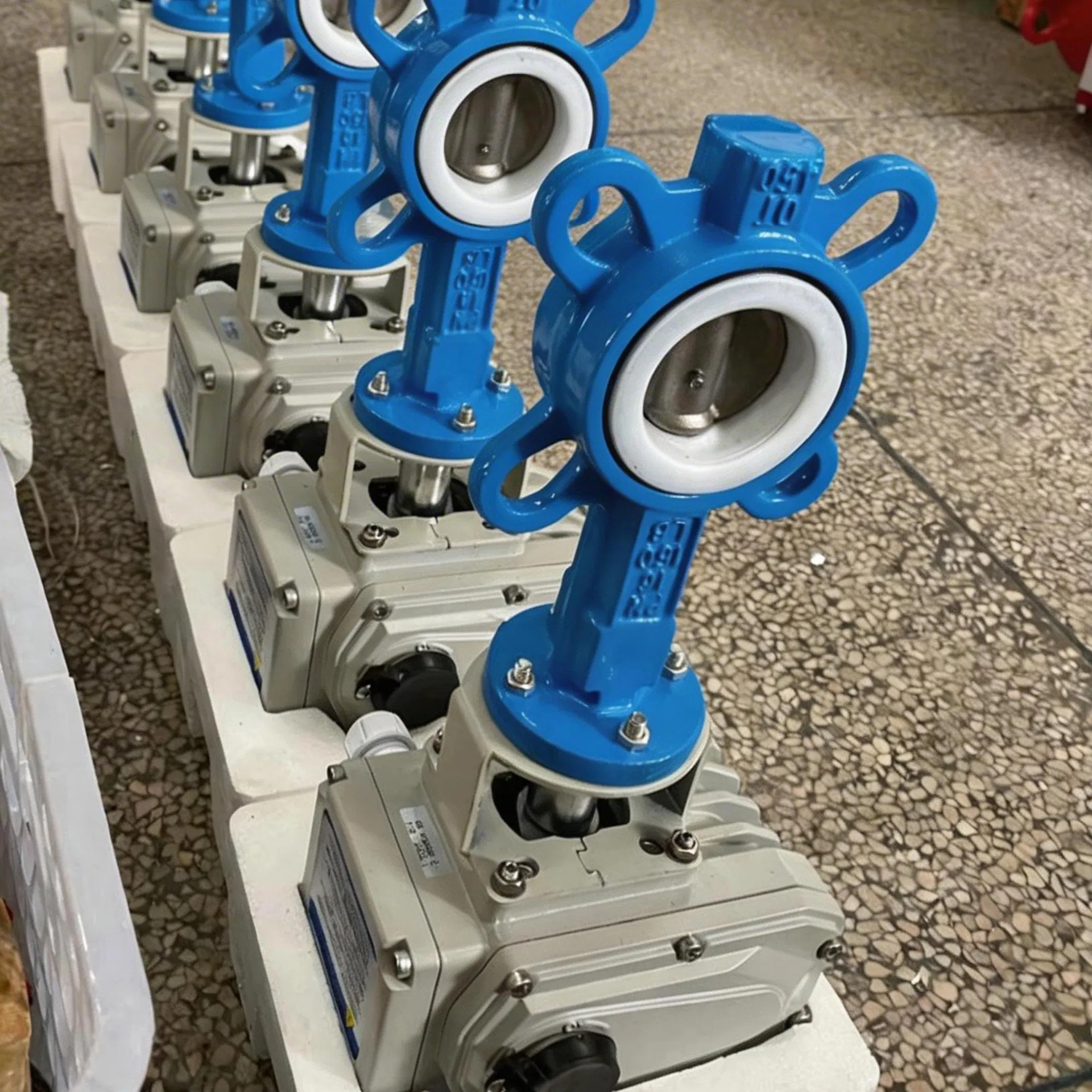 Lined Valve Detail 2