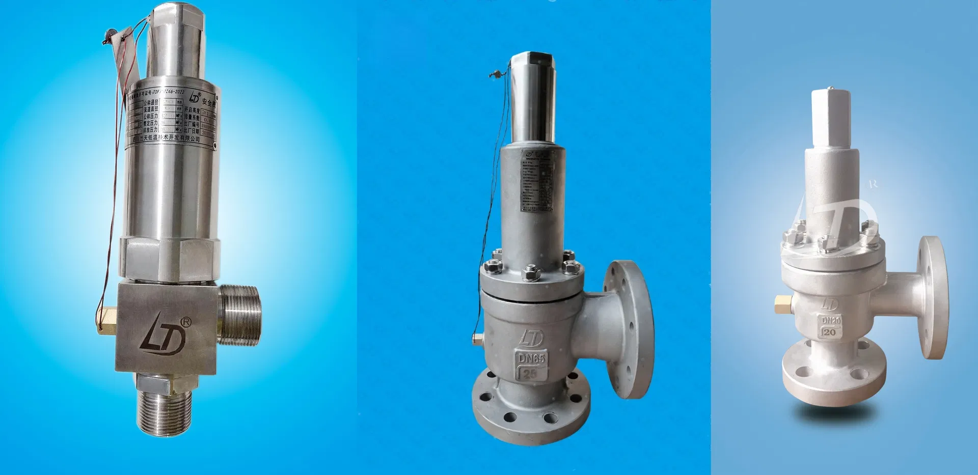 Safety Valve Model 2