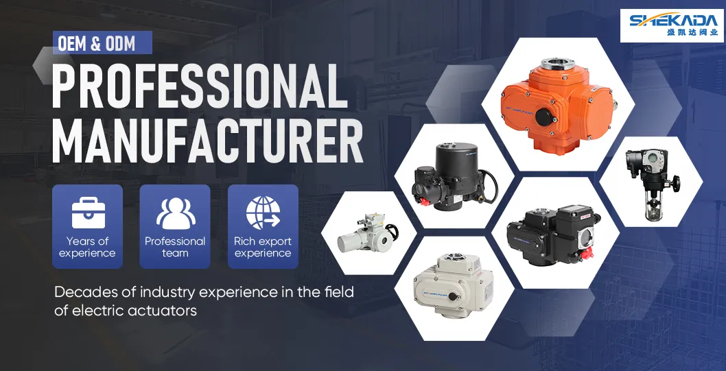 Valve Control Actuator