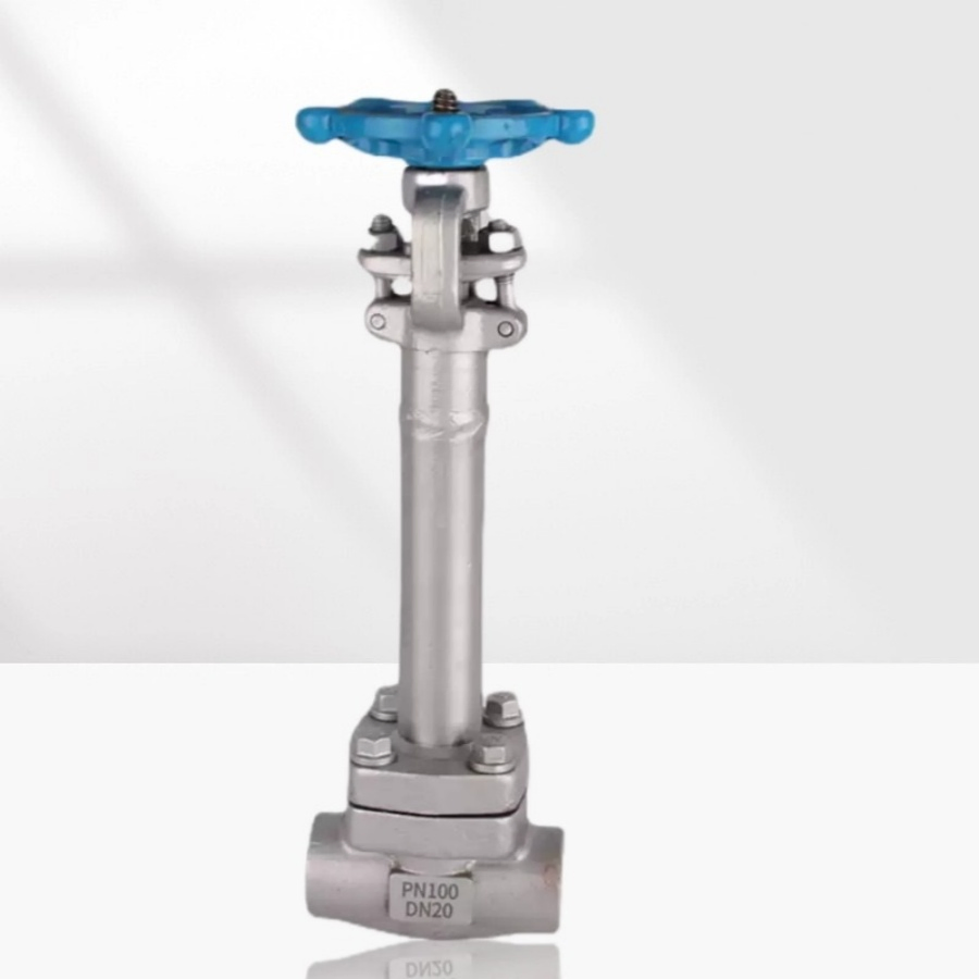 Stainless Steel Ductile Iron Pressure Reducing Cryogenic Valve for LNG &amp; Ln2, Liquid Nitrogen -196℃ Industrial/Gate/Check/Float/Ball/Globe Valves