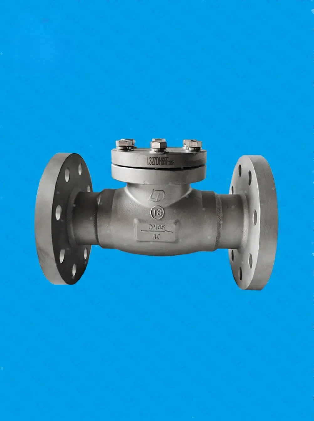 Cryogenic Check Valve for Cryogenic Storage Tank