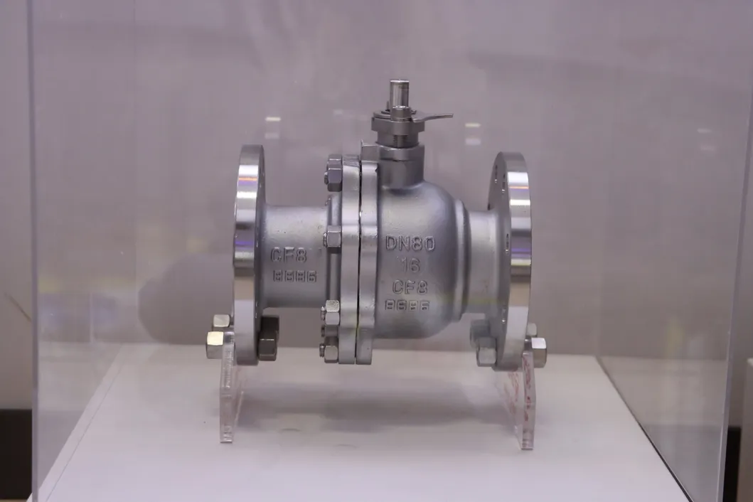 Valve Photo 5