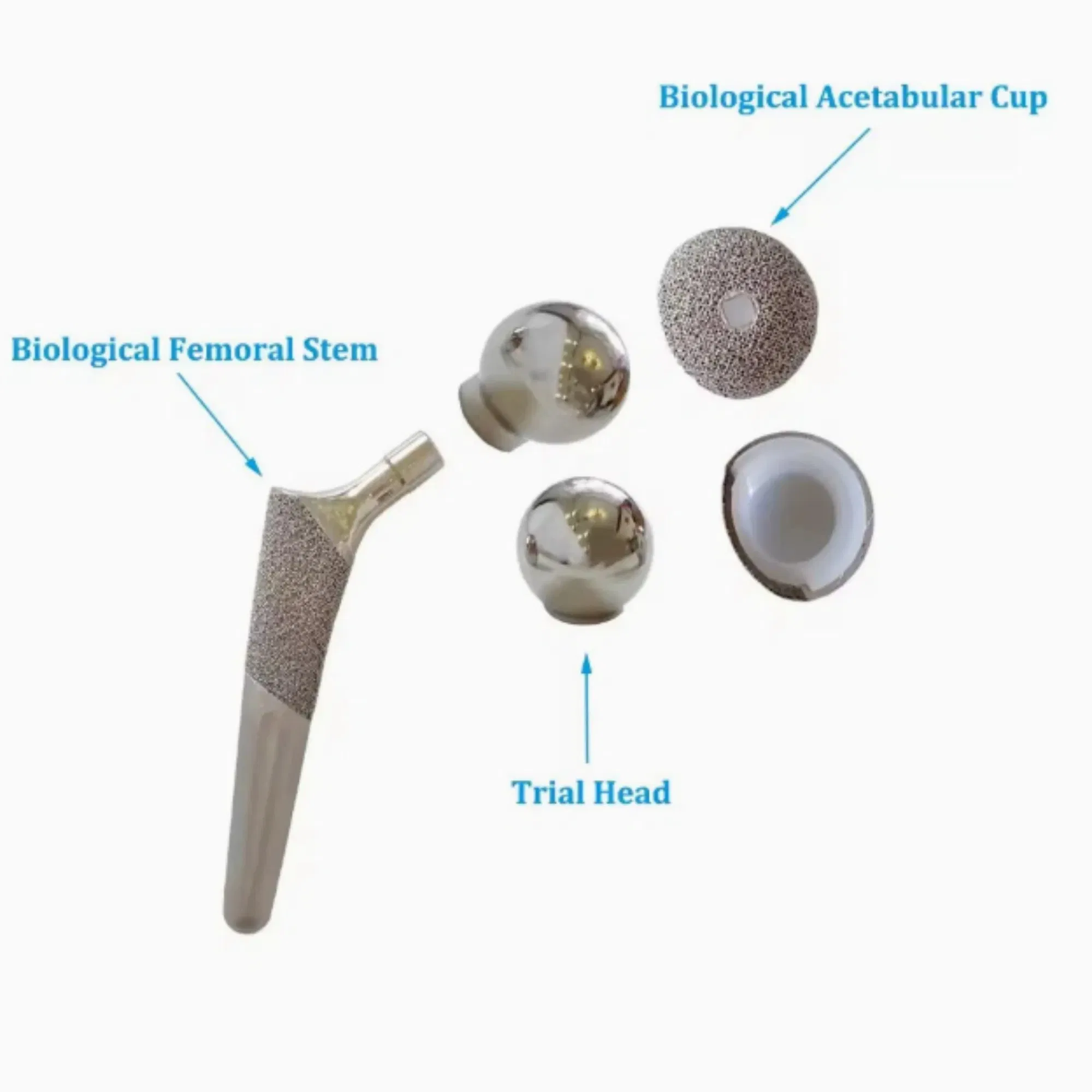 Surgical Veterinary Thr Dog Total Hip Replacement Joint