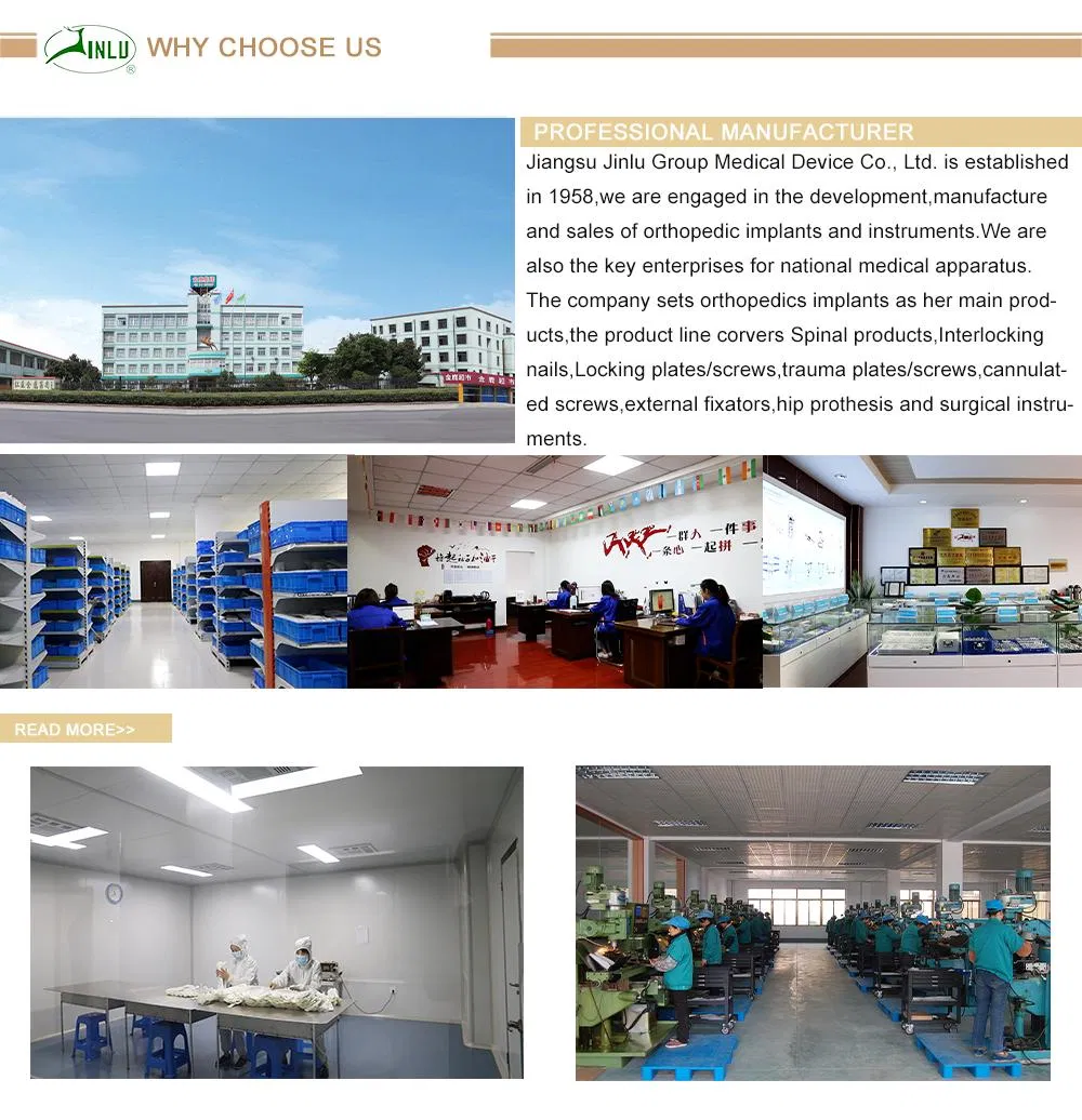 Company Facility and Production