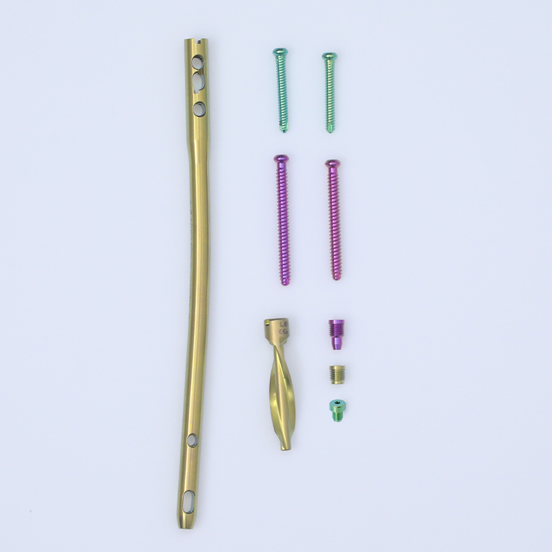 Medical Supply Orthopedic Implant Titanium Dfn Distal Femoral Intramedullary Nail