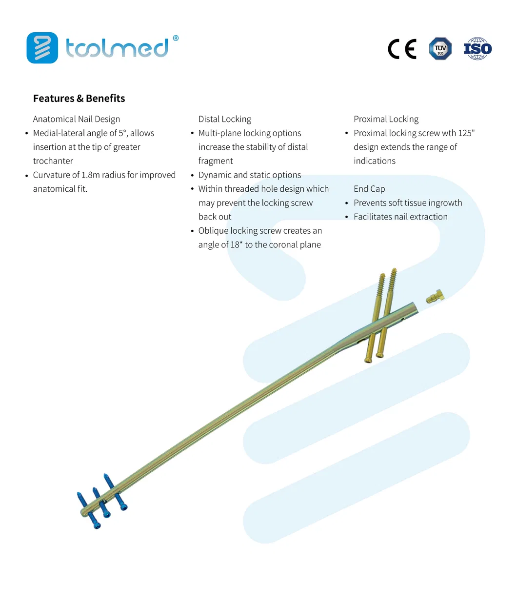 Orthopedic Intramedullary Nails