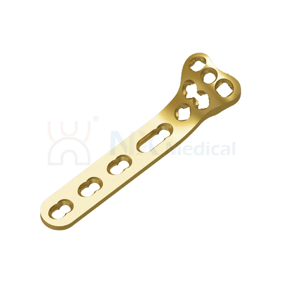 Nx Medical Variable Angle LCP Plate Radius Fragment Locking Mechanism System