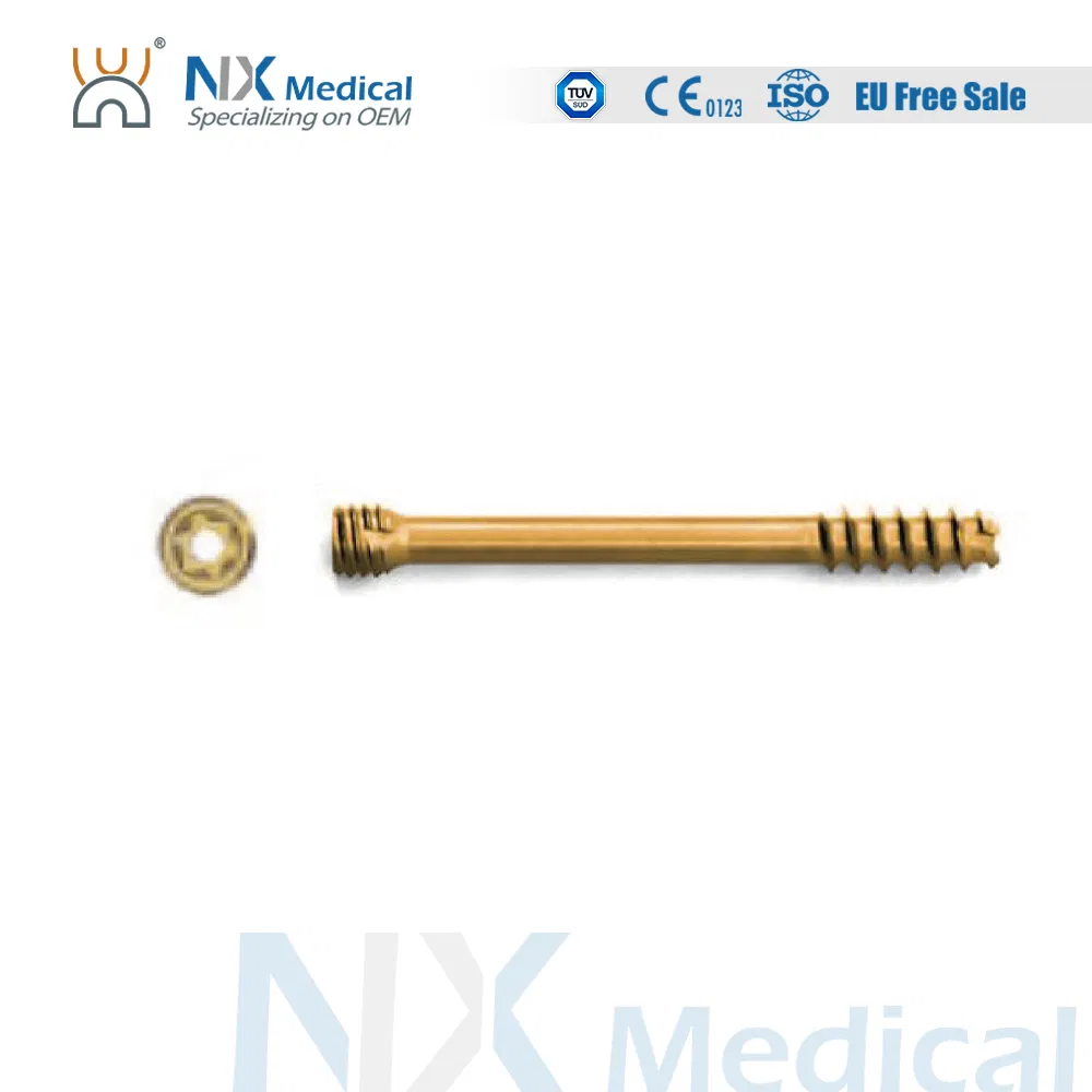 Nx Medical Trauma Implant Cannulated Headless Compression Screw for Bone Fixation