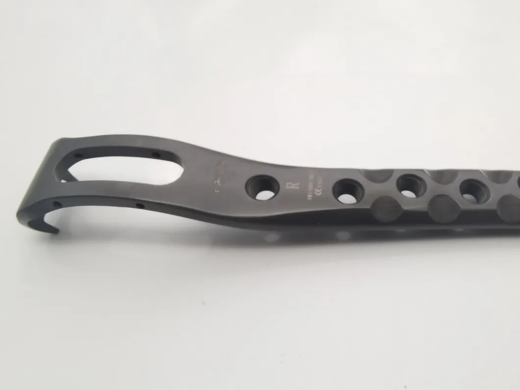 Proximal Femur Neck Plate Photo 2