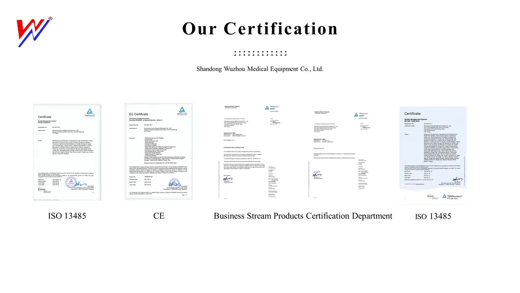 IV Infusion Set Detail 9