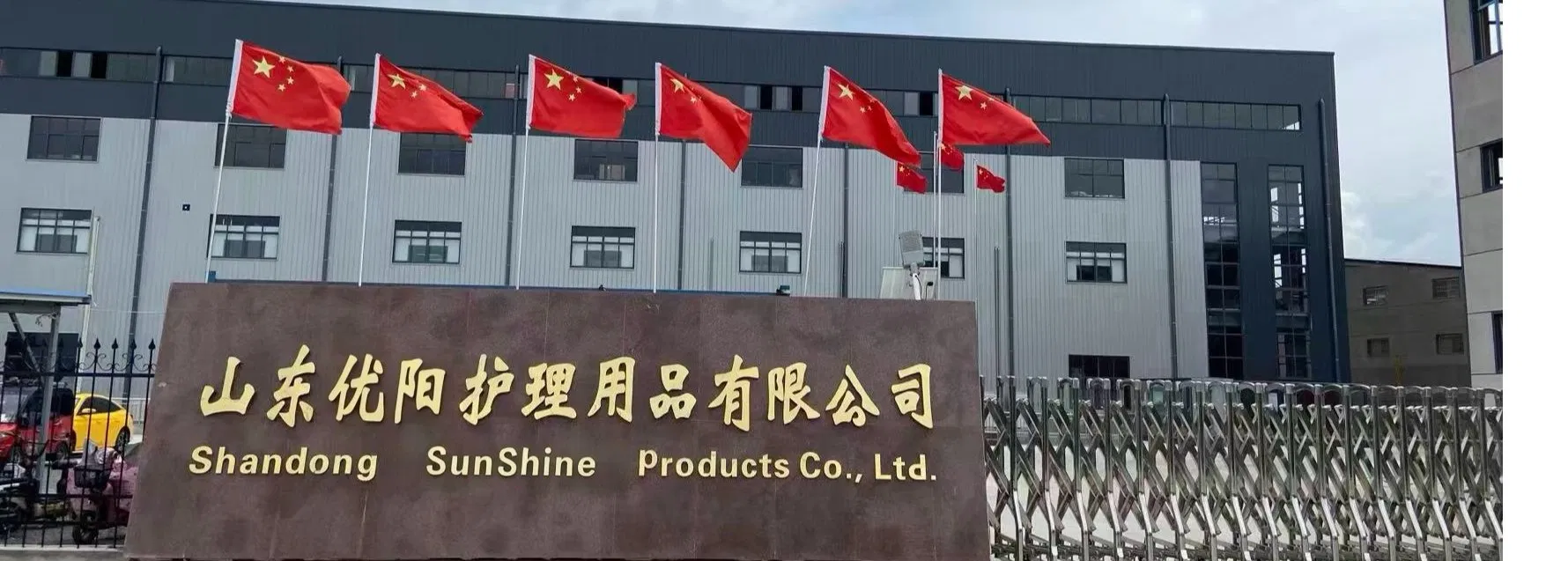 Disposable Bamboo Cotton Swab