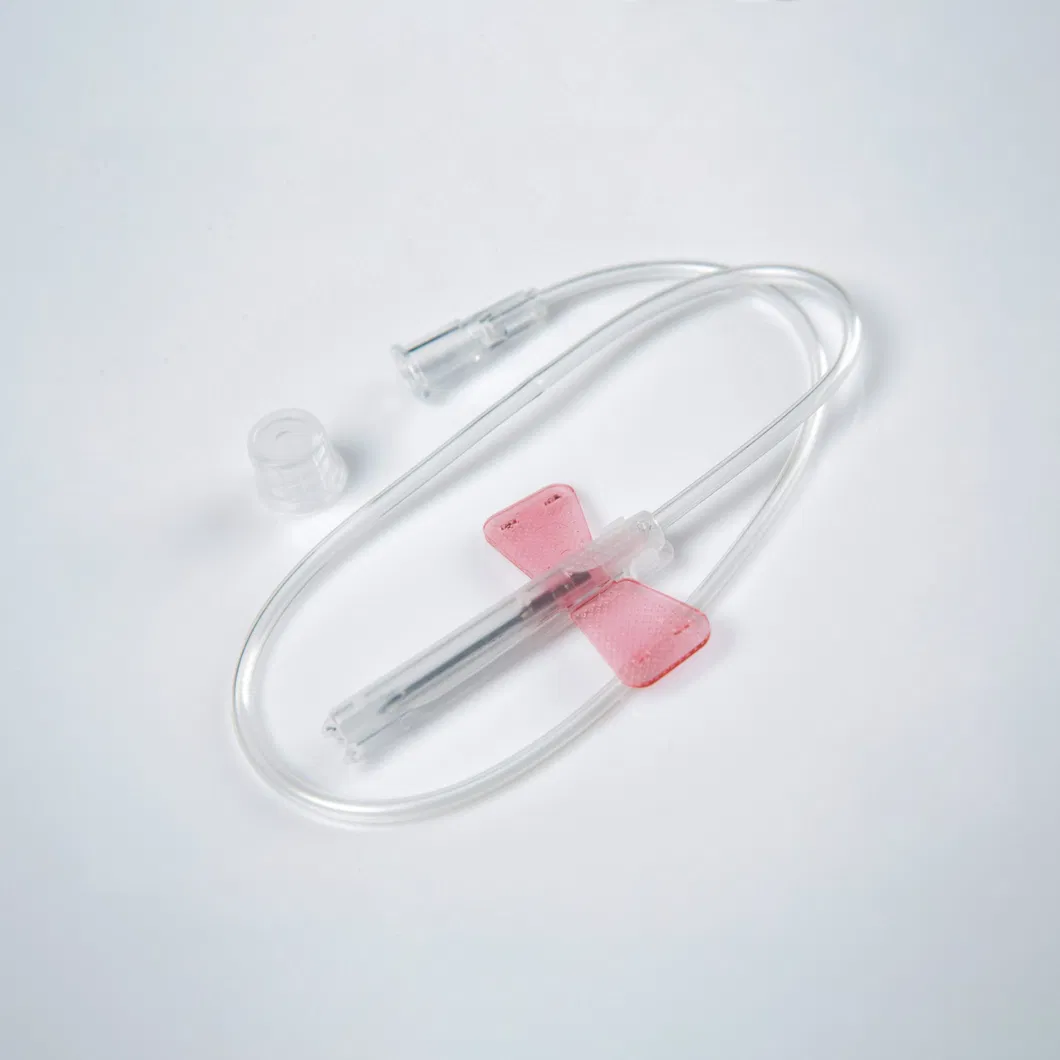 Butterfly Needle Detail 2