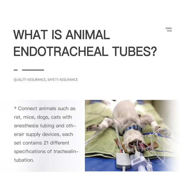 Veterinary Endotracheal Tube Detail 2