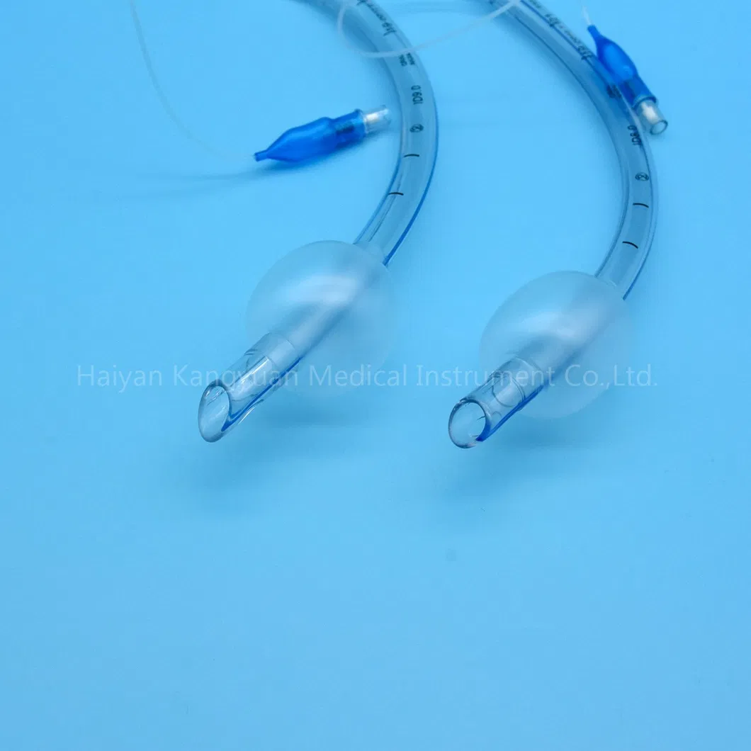 Endotracheal Tube View 1