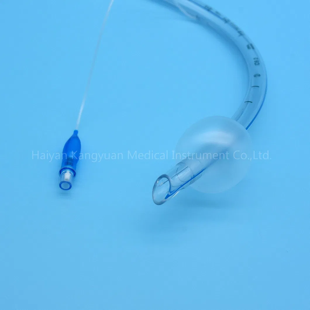 Endotracheal Tube View 3