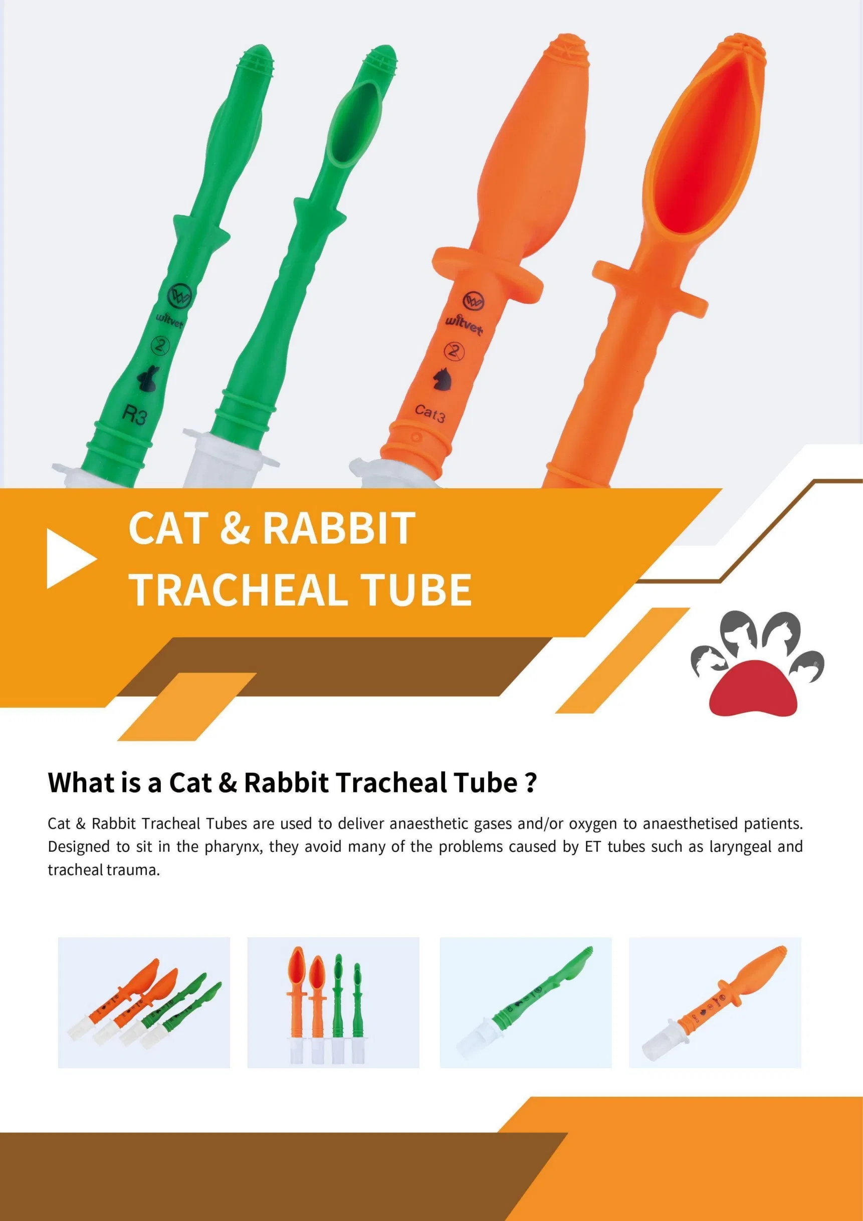 Veterinary Tracheal Tube 1