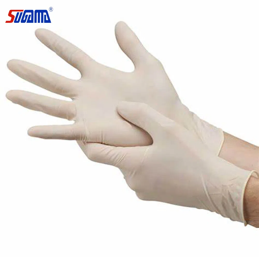 Wholesale Box of Sex Latex Sterile Surgical Gloves