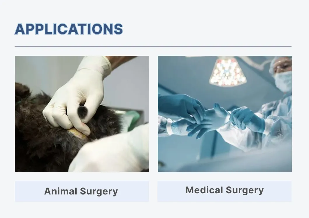 Surgical Glove Specifications