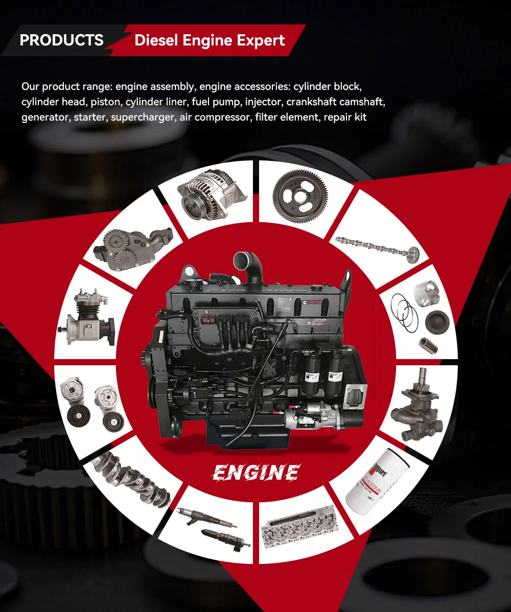 Novo Conjunto de Pistão Padrão para Motor Diesel Cummins 6bt5.9 3802747 3802421