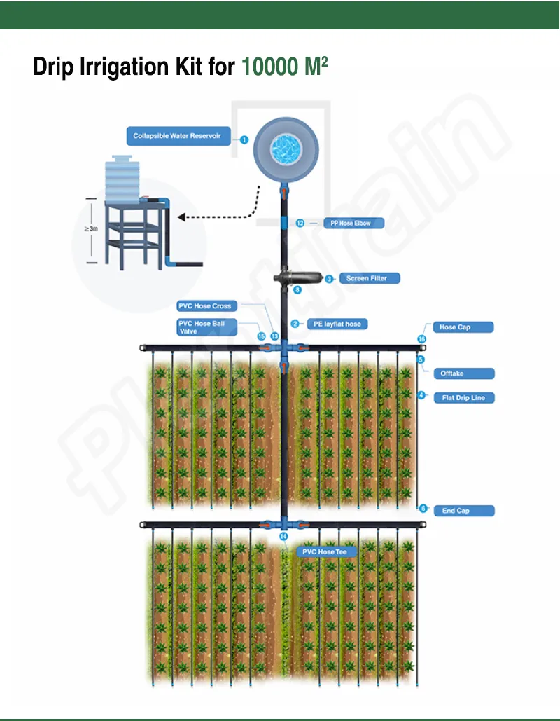 Detalhes do Sistema de Irrigação