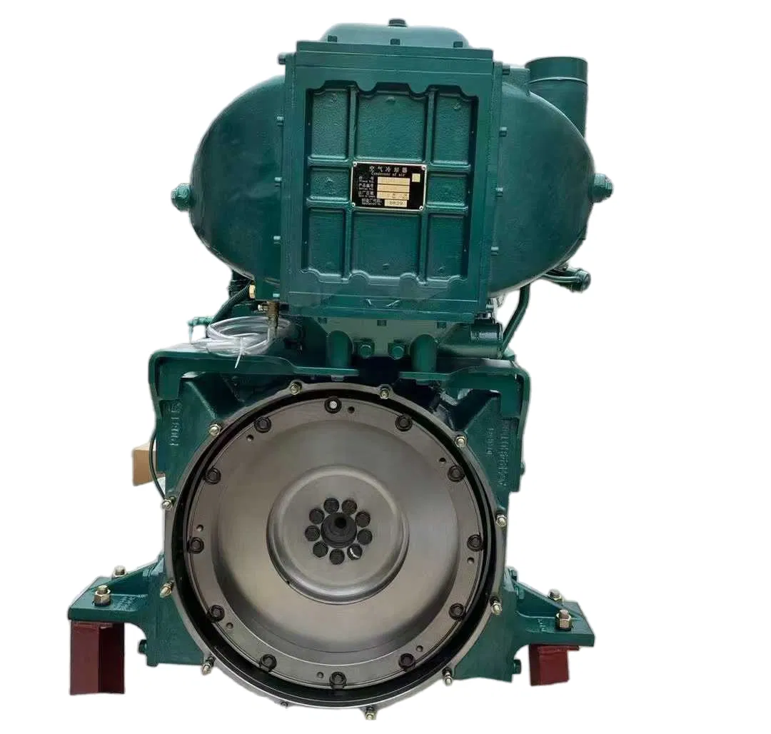 Peças de Reposição para Caminhão de Alto Desempenho - Motor Diesel Sinotruk Wd615.47