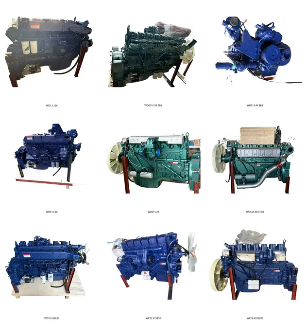Weichai Wp10.336e53 Wp10 Montagem de Motor Diesel 336HP Euro 5