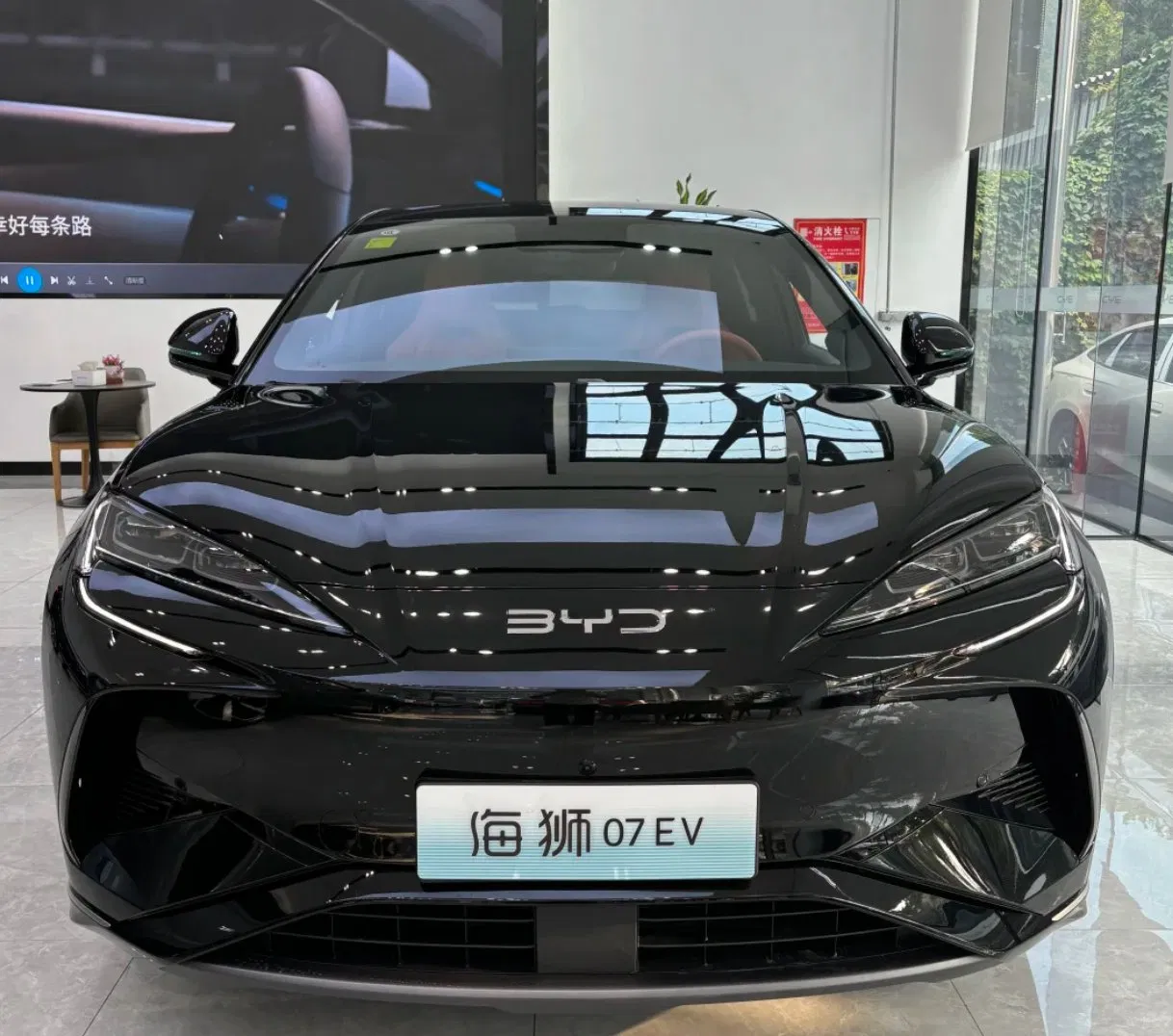 Leão Marinho 07 Byd Car - 550km Alcance Trem Elétrico