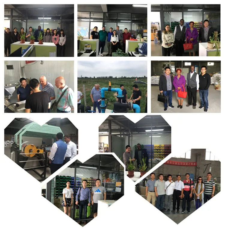 Clientes e Parceiros Globais