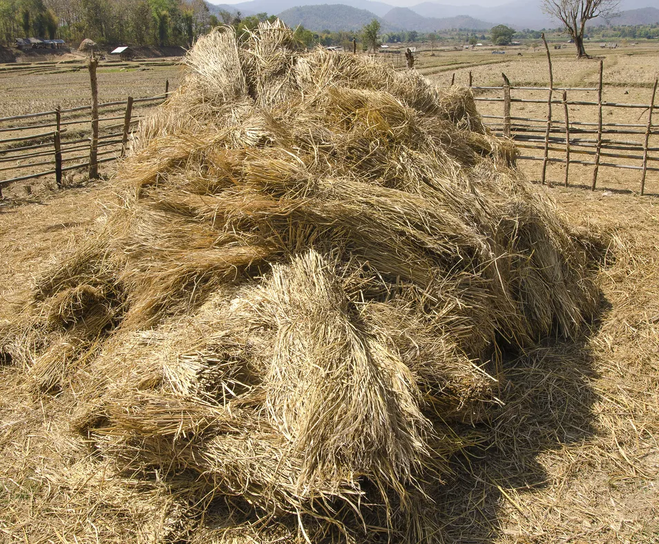 Sistema de Pellets de Palha Durável Avançado com Lubrificação Robusta para Gado