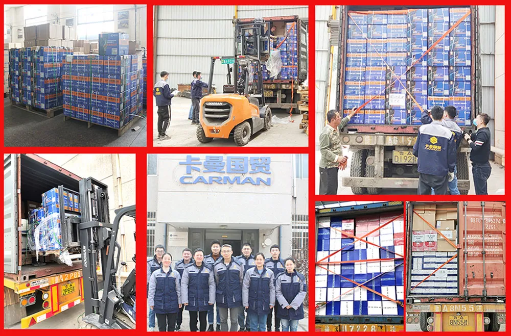 612630010050 Sistema de Resfriamento do Motor do Resfriador de Óleo de Aço Inoxidável da Caminhão Weichai Shacman