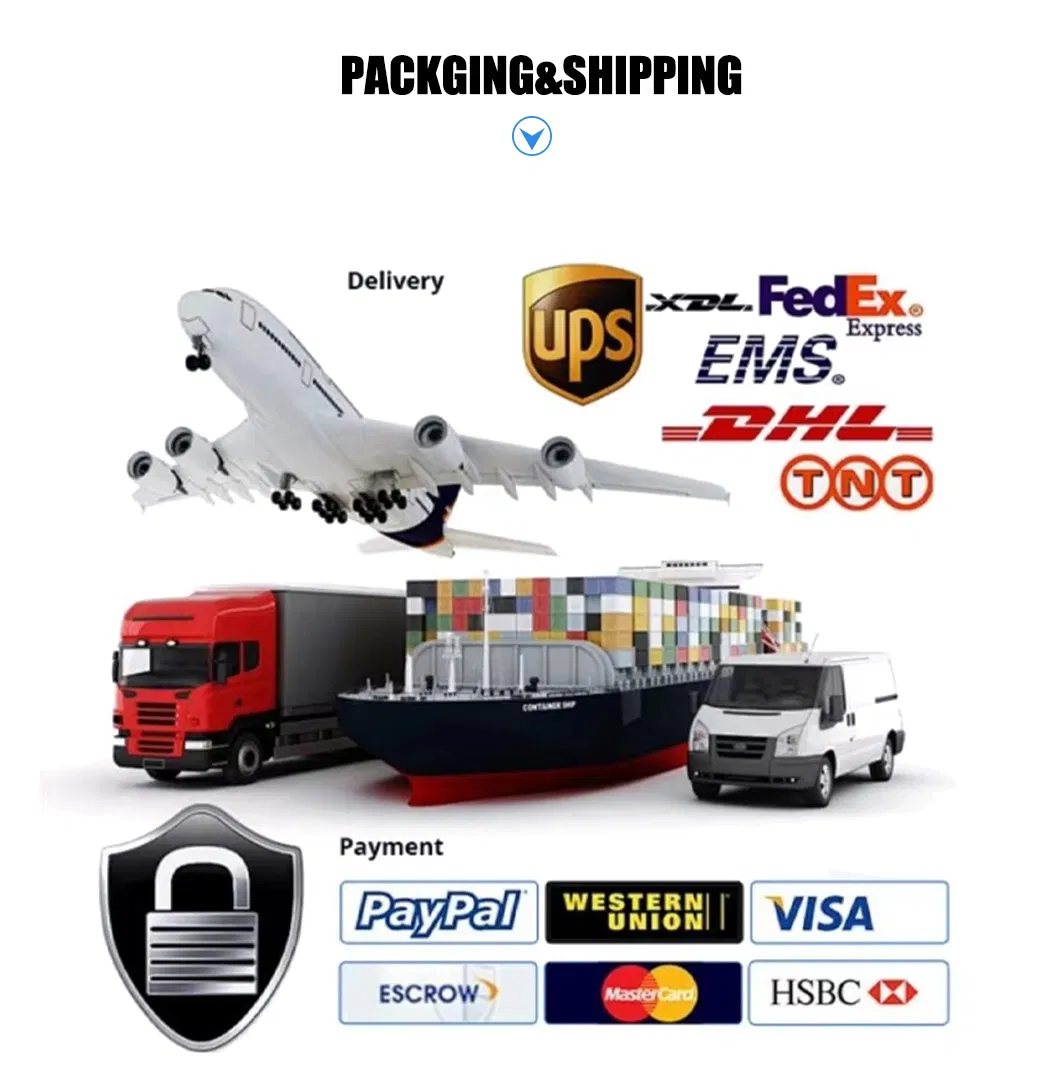 Instalações da Empresa 2