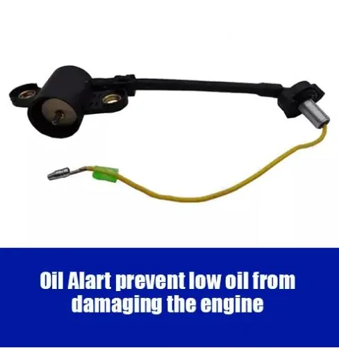 Motor a Gasolina Detalhe 4