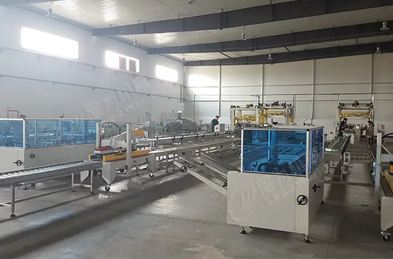 Automatic Carton Box Case Opening Erecting Unpacking Machine Side