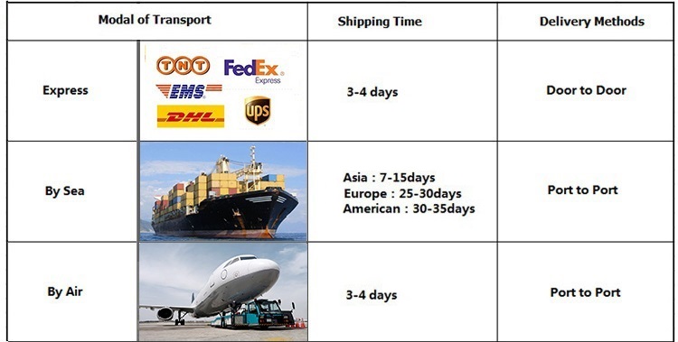 Shipping Logistics