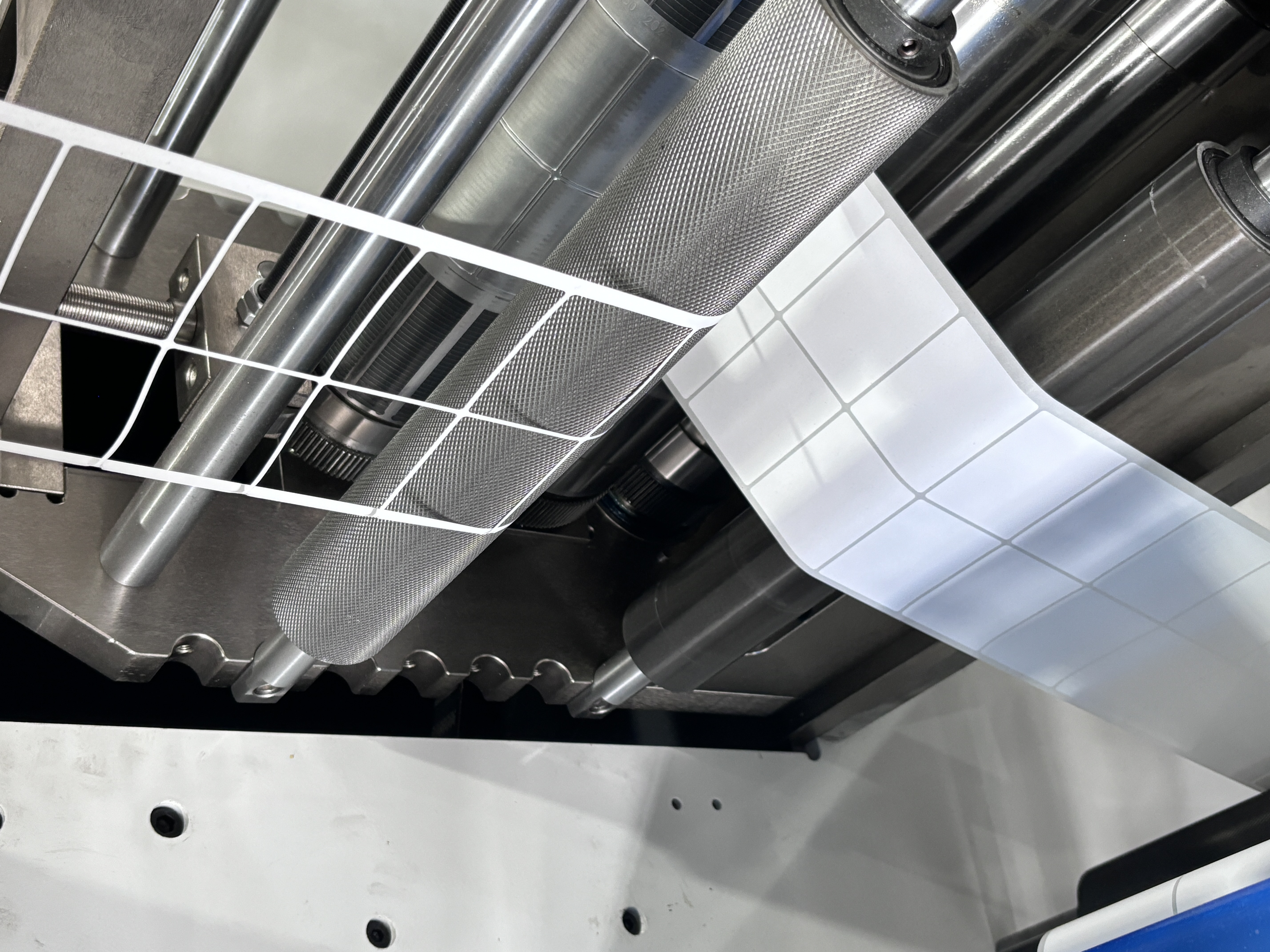 Automatic Blank Label Die Cutter High Speed &amp; Precision For Label Factory Label Die Cutting Machine