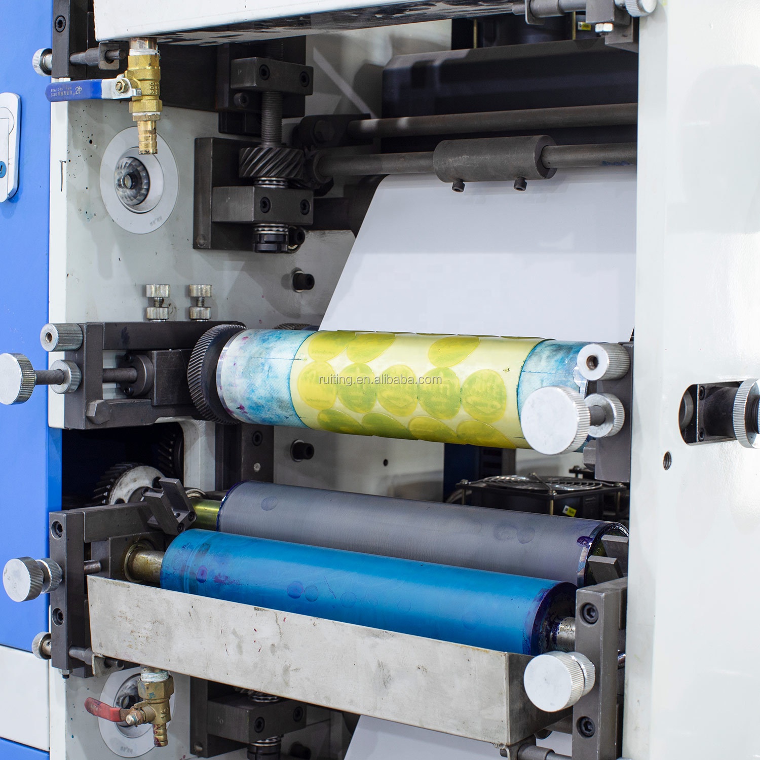 5 Colors Narrow Web Flexo Printing Machine with Laminating and Rotary Die Cutting for Labels