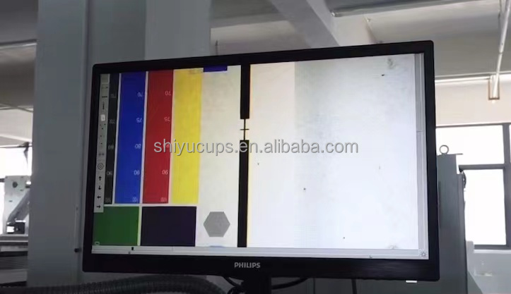 Video Monitor