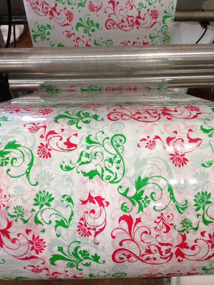 Plastic Film Roll to Roll Flexo Printing Machine /flexo Letterpress Printer