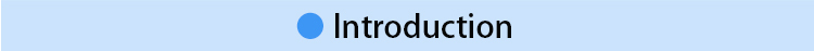 Product Description Detail